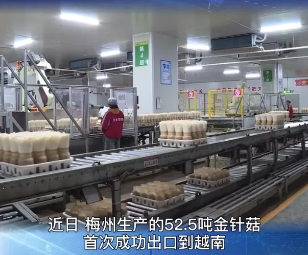 文章附图
